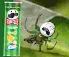 В принглс заметили сходство логотипа с пауком