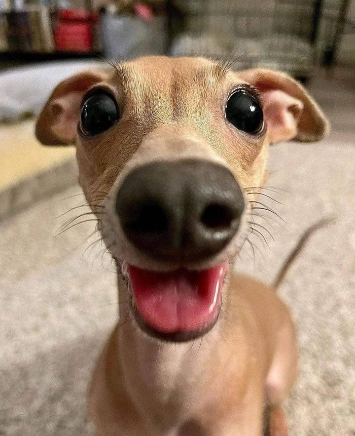 Ура, суббота 